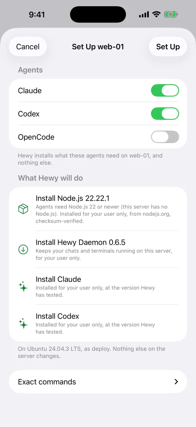 Set Up in Hewy, listing what it will install on the server: Node.js, the Hewy Daemon, Claude and Codex